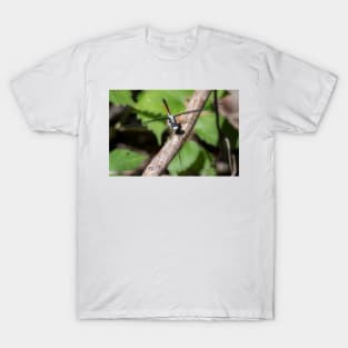 Skimmer Dragonfly On A Limb by Debra Martz T-Shirt